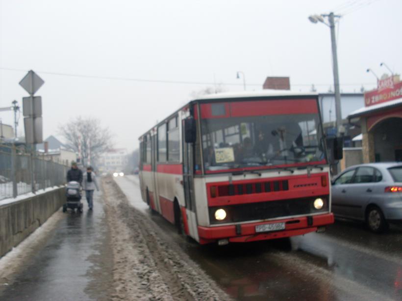 SDC10266.JPG